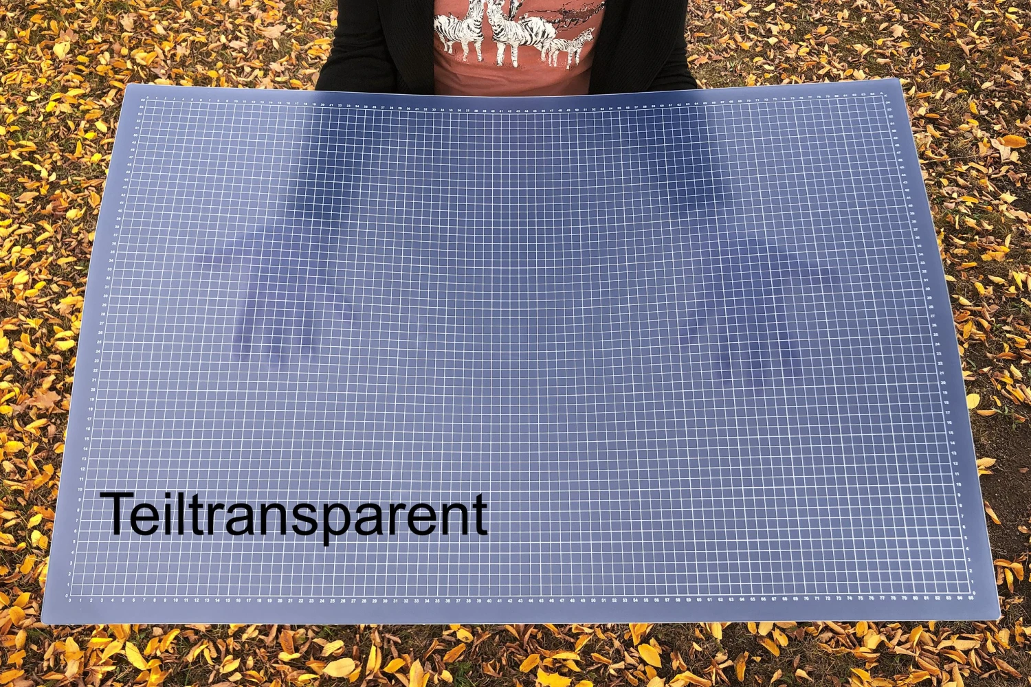 Schneidematte Transparent A1 (90 X 60 Cm Skalierung In Cm Einseitig) 8 Schneidematte Transparent A1 (90 X 60 Cm Skalierung In Cm Einseitig) – Bild 8