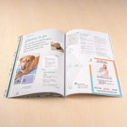 3 Magazine Stickstoff SEQUENZ Im Bundle Mit Ausgaben 1-3 -NähKunst Angebote Store 10026947 stickstoff sequenz 1 4